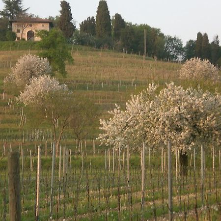 Agriturismo Giorgio Colutta Villa Manzano Exterior foto