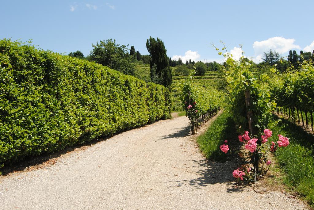 Agriturismo Giorgio Colutta Villa Manzano Exterior foto